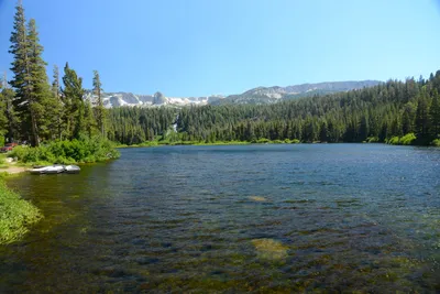 DSC_0054 (Large).JPG